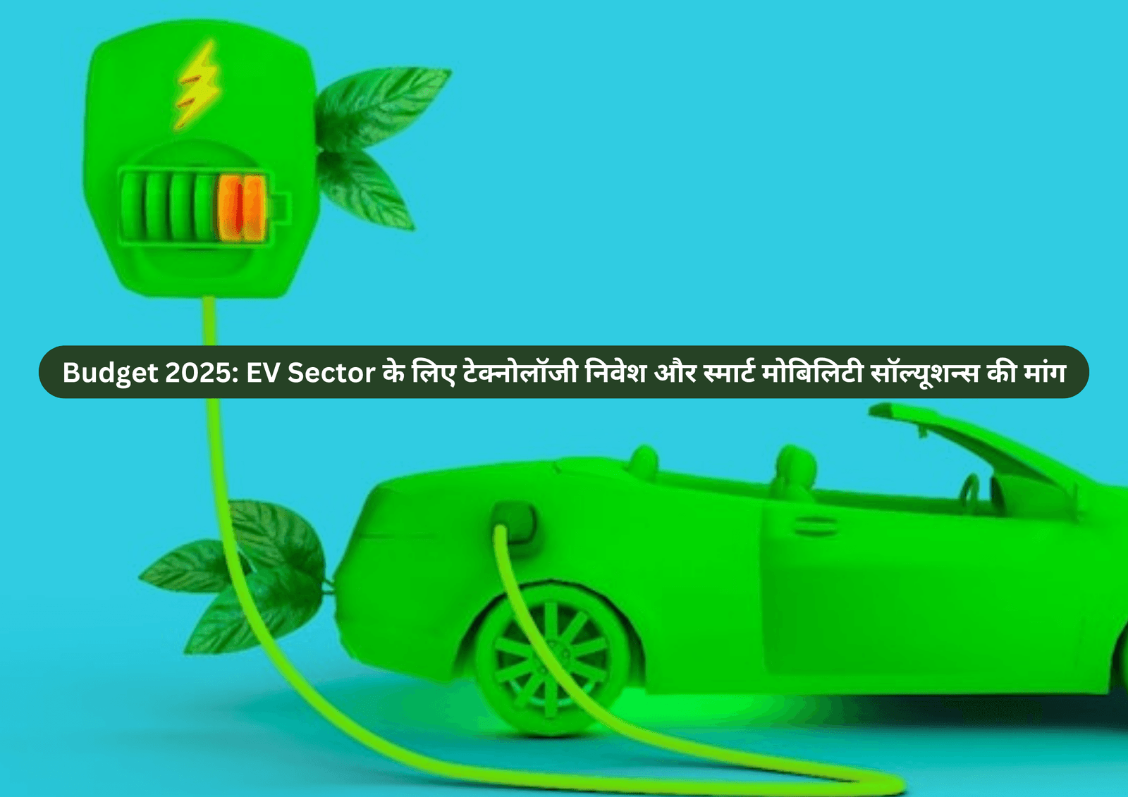 budget-2025-ev-sector